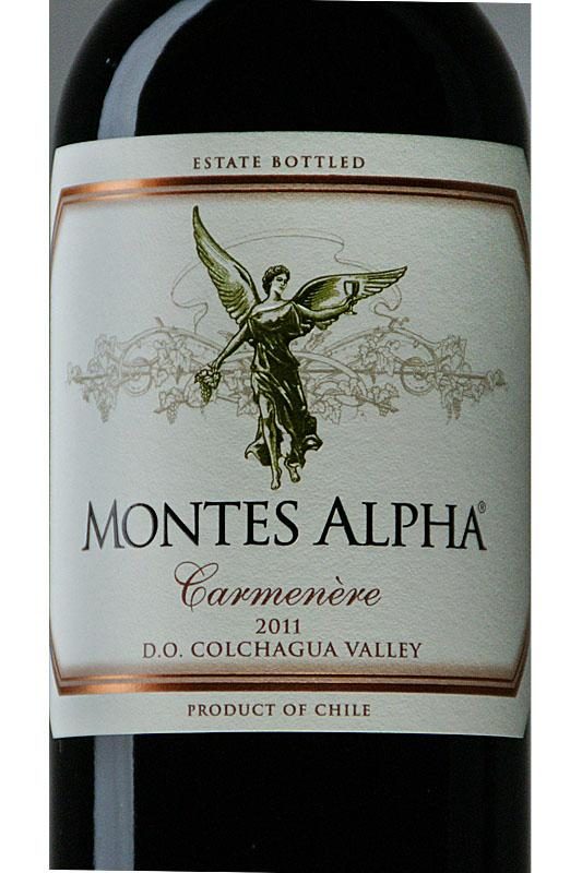 Vinflaske mærkning maskine dobbeltsidet Chile Santa Maria Electric Driver